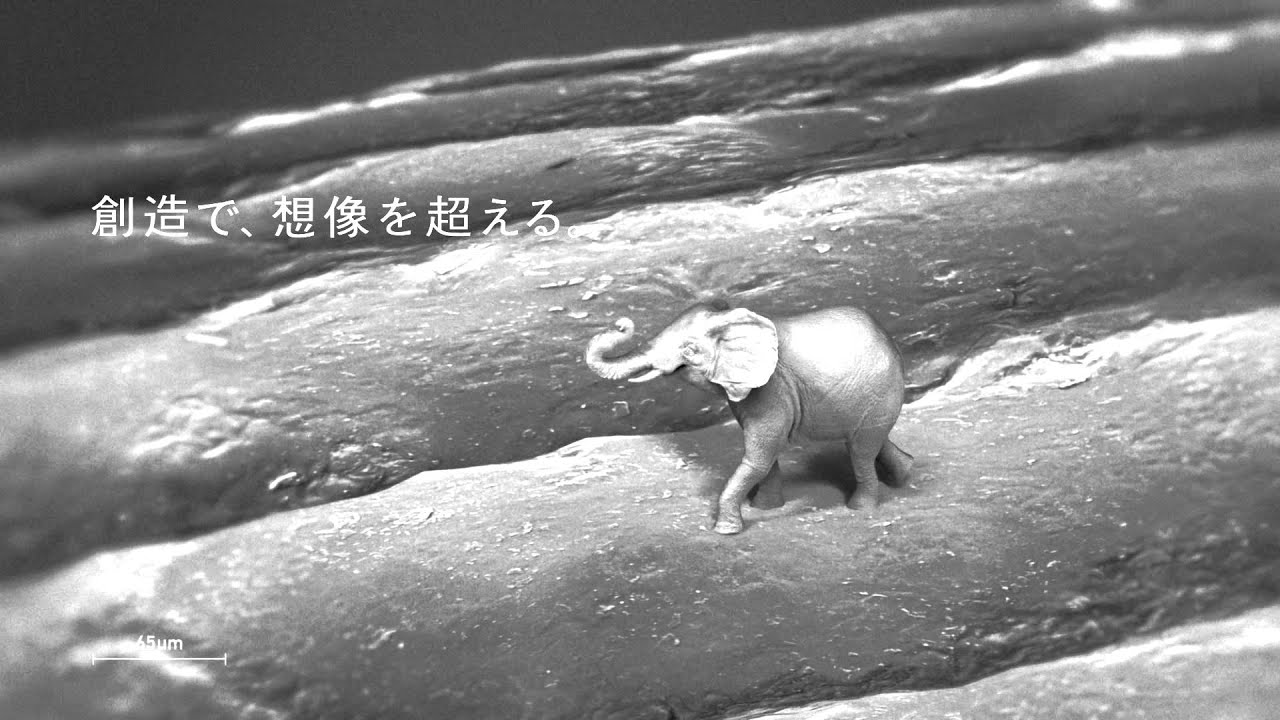 The Fragile Giant on a human fingerprint