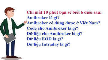 Amibroker, code Amibroker là gì? và dữ liệu Amibroker, dữ liệu EOD, dữ liệu INTRADAY là gì?
