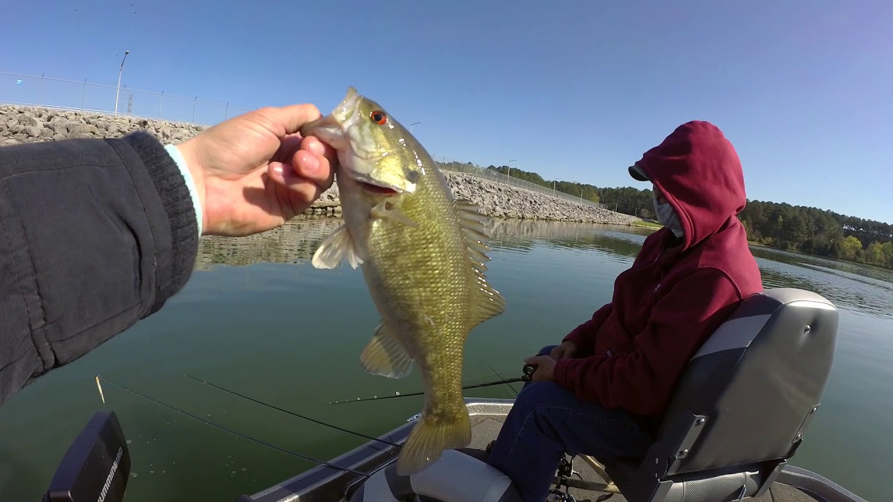 Bed Fishing for Bass YouTube