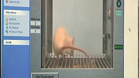 Carruth_CyberRat