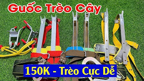 Guốc trèo cây , Dụng cụ trèo cây, Cựa trèo cây mẫu mới nhất 2025, Dây bảo hiểm 150K An toàn Hiệu Quả
