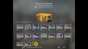 Operation Wildfire Case Opening