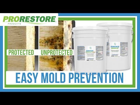 Surface Shield Protectant for Mold and Mildew]