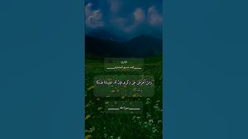 القران الكريم سورة طه ايه ١٢٤ #العراق #القرآن_الكريم #اكسبلور #لايك #الجزائر #المغرب #راحة_نفسية  #