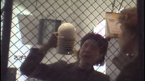 Julia Scher, Recovery Agent (R.A.), 1987