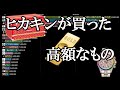 ヒカキンが買った高額なもの