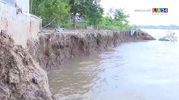 Đồng Tháp công bố tình huống khẩn cấp với sạt lở bờ sông Tiền | LONG AN TV