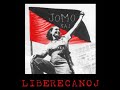 Ĉeboksaro - JoMo kaj Liberecanoj | Kanto kun teksto