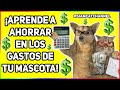 AHORRA EN LOS GASTOS DE TU MASCOTA SIN COMPROMETERLE - SiamCatChannel