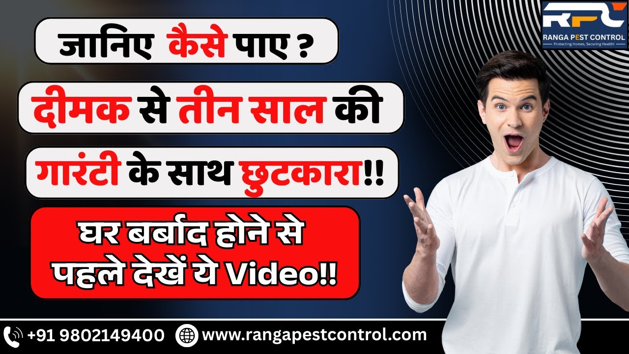 दीमक से छुटकारा कैसे पाएं? | 3 साल गारंटी Termite Control | How to get rid of termites?