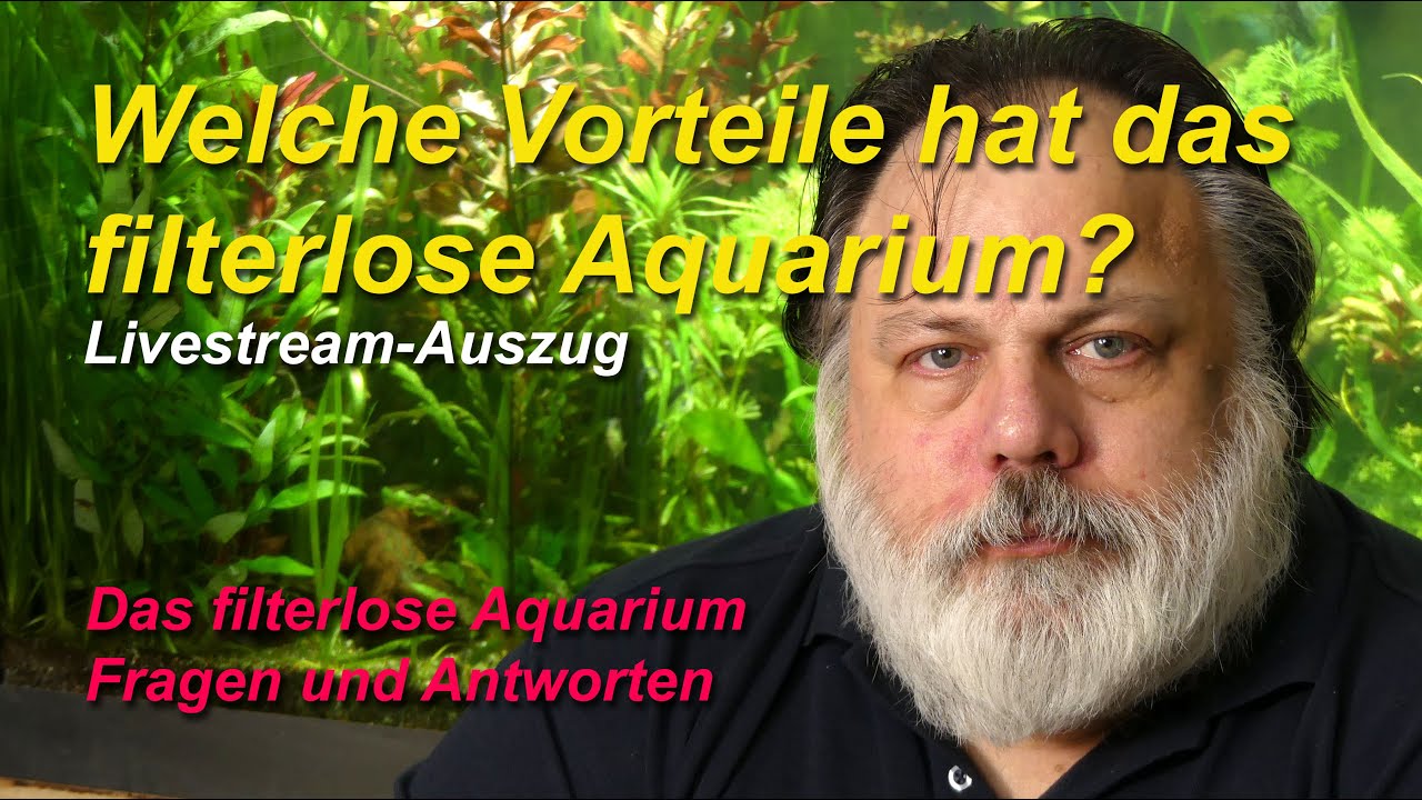 Welche Vorteile hat das filterlose Aquarium gegenüber einem herkömmlich gefilterten Aquarium?