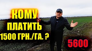 🤔 ЗАКОН 5600 ПРАЦЮЄ ЧИ НІ ? КОЛИ ВСТУПИТЬ В СИЛУ? КОМУ ЗАЛІЗУТЬ В КАРМАН ?