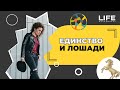 ЕДИНСТВО И ЛОШАДИ | Life-менеджмент | 12+