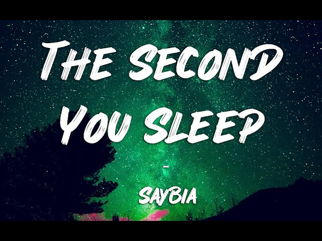 The Second You Sleep - Saybia || Lyrics class=