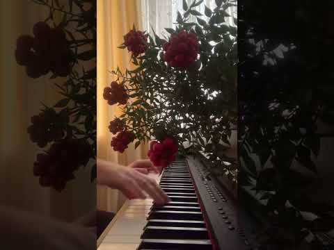 Yalancı Bahar 🎶🌿        #yalancıbahar #pianomusic #piyano #aşkınnuryengi  #piyanomüzik #piano