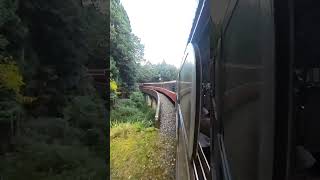 祝山小火車🚂🚃🚃🚃🚃🚃🚃Zhushan ancient train #taiwan🇹🇼 #阿里山森林園區 #阿里山景點 #祝山車站