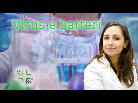 La differenza tra Virus e Batteri