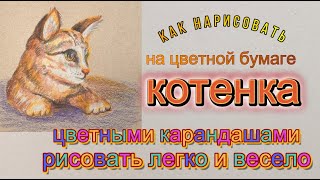 Котенок.  Как рисовать цветными карандашами на цветной бумаге