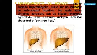 PATOLOGÍAS HEPÁTICAS VIDEOCLASE ZOOM PARTE II
