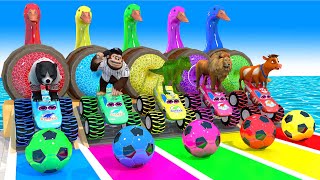 Long Slide Game With Elephant Gorilla Buffalo Hippopotamus Tiger 3d Animal Game Funny 3d Animals