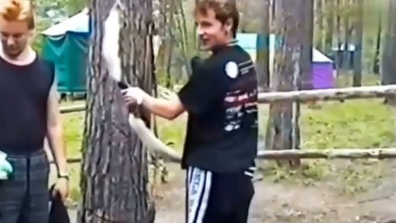 Нейро кавер на песню  - 