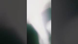 Steve the master of FPS bug #minecraft #steve #maddiethebluesnake