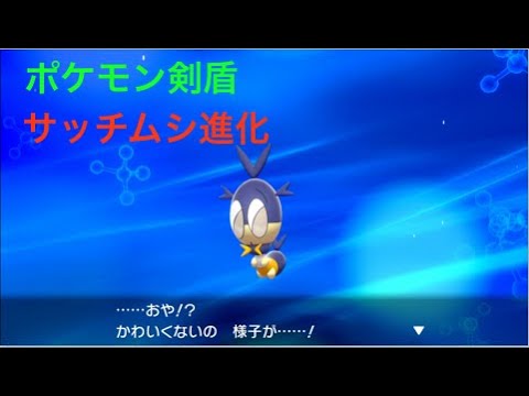 ポケモン剣盾 かわいくない サッチムシ が進化しました Pokemon Sword Shield Youtube