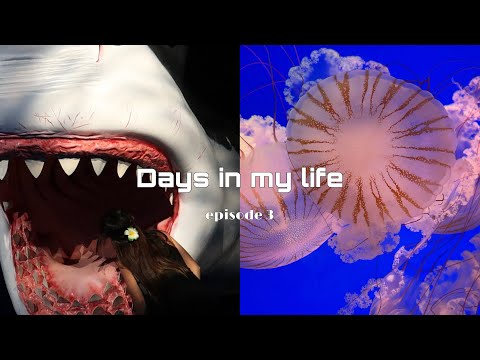 vlog ❀ | houston zoo & museum of natural science