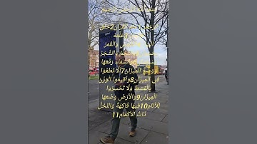 تلاوة عطرة للشيخ سعد الغامدي ماتيسر من سورة الرحمن