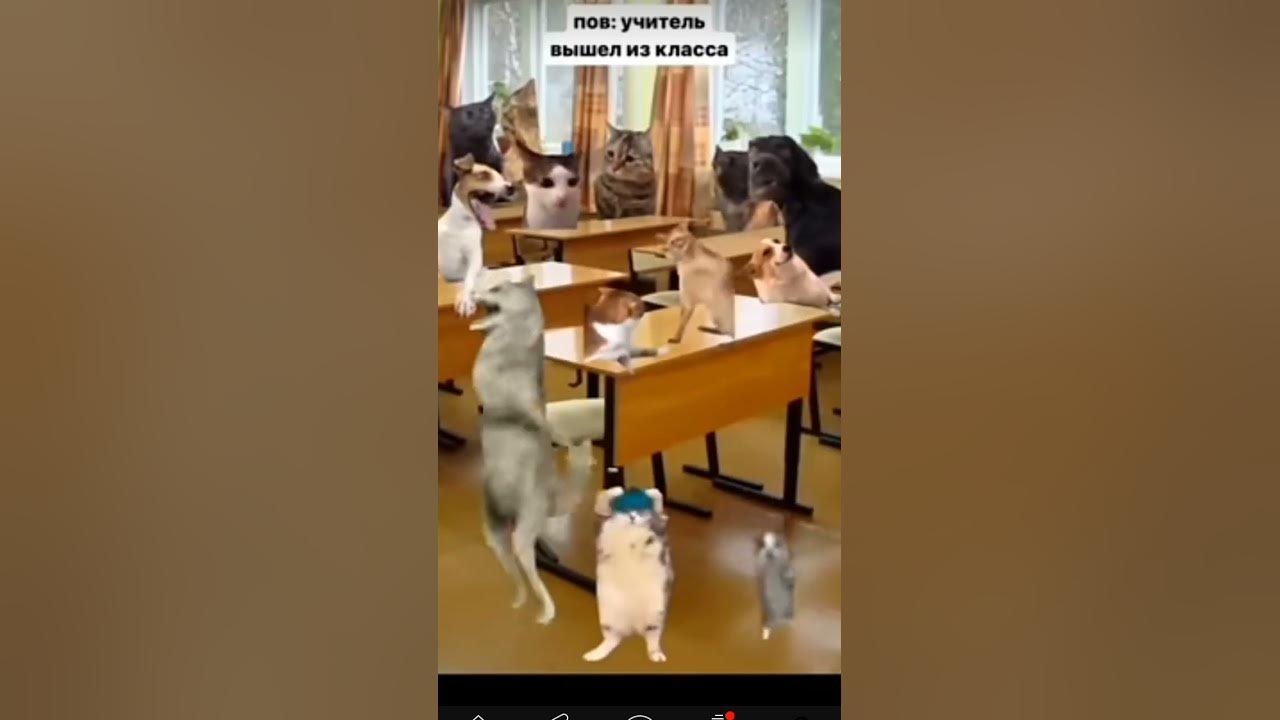 mems 2024 мем мем2024 YouTube