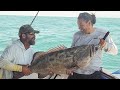 Deep sea grouper fishing in rocky point mexico