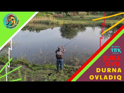 Gözəl təbiət qoynunda balıq ovladıq!  Durna(Şuka) Balığ Ovu - At Çək Spin Balıqçılıq (Ловит рыбу)