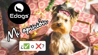 🔴Antes de regalar un perro en navidad 🎄🎁 by Equilibradogs - Psicología Canina 136 views 4 months ago 7 minutes, 59 seconds