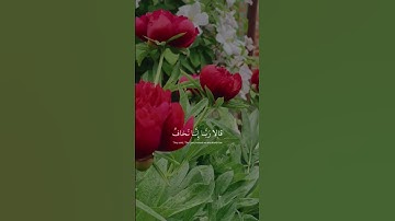 اكتب شيء تؤجر عليه ❤️  #قرآن #تلاوة_خاشعة #شريف_مصطفى #اكسبلور