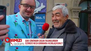 Qırmızı Adam Bakı Sirkindən Qaçan Pələnglərdən Özünüzü Necə Qorumağa Hazırlaşırsınız?