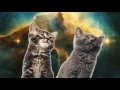 YouTube YouTube