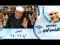 027 تفسير سوره النمل آية 19 25 الشيخ محمد متولي الشعراوي