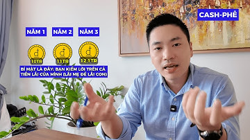 Đầu Tư 696 (Tuần 24): Vì sao VN-Index giảm nhưng danh mục vẫn tăng?