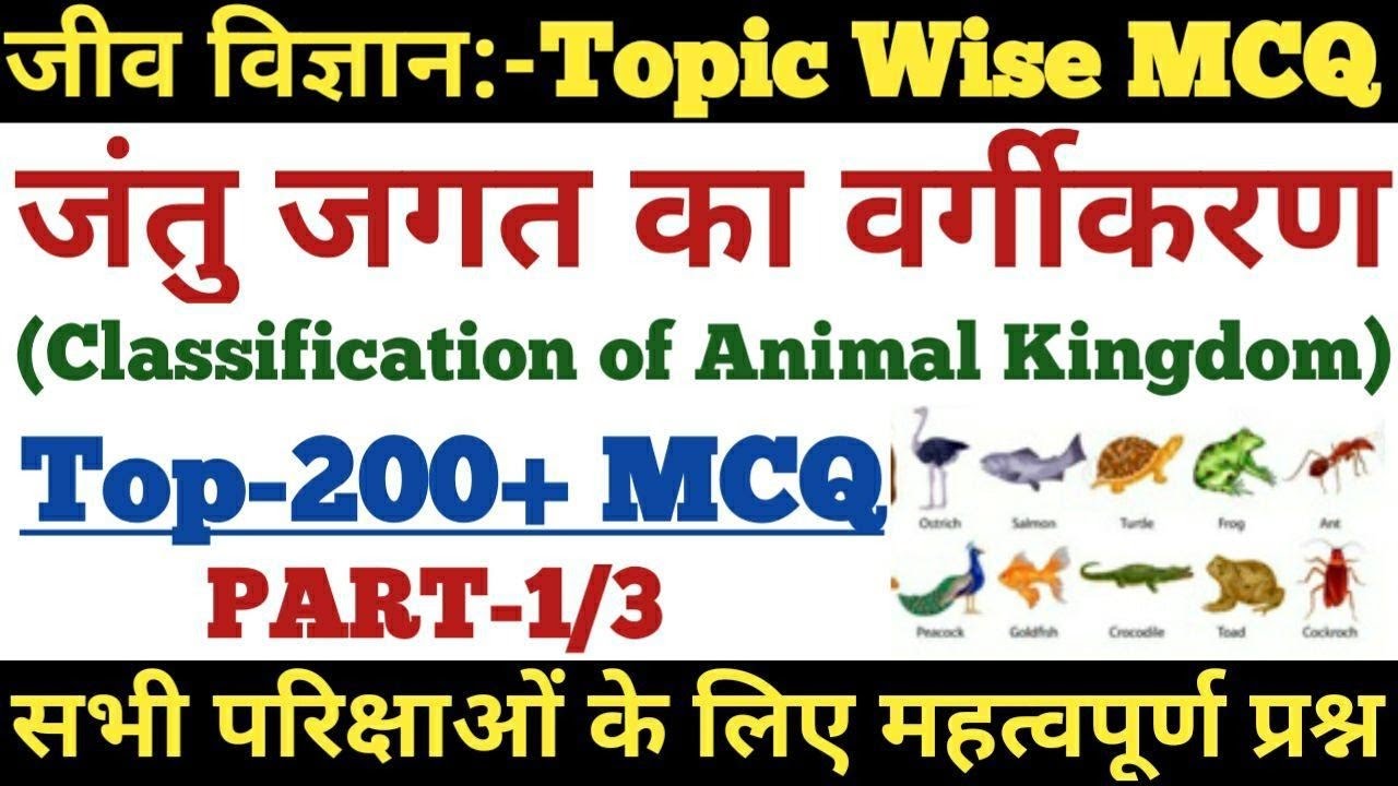 Download #1 जंतु जगत का वर्गीकरण से सम्बंधित प्रश्न उतर | MCQ on  Classification of Animal Kingdom-RAILWAY,SSC Mp3 and Mp4 (47:30 Min) (  MB) ~ MP3 Music Download