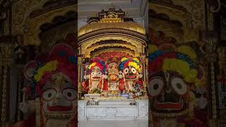 Joy Jagannath ji #jagannathpuri #jagannath #devotional #devotion #hindutemple #puri #odisha #yttrend