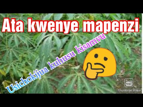 Video: Jinsi Ya Kutibu Ulevi Wa Mapenzi