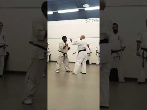 Perfect Mawashi Geri Round House Kick In Kyokushin Karate 