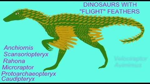 PL JOURNAL10: THEROPOD DINOSAURS: TESTING THE EVOLUTION, CREATION, DESIGN MODELS