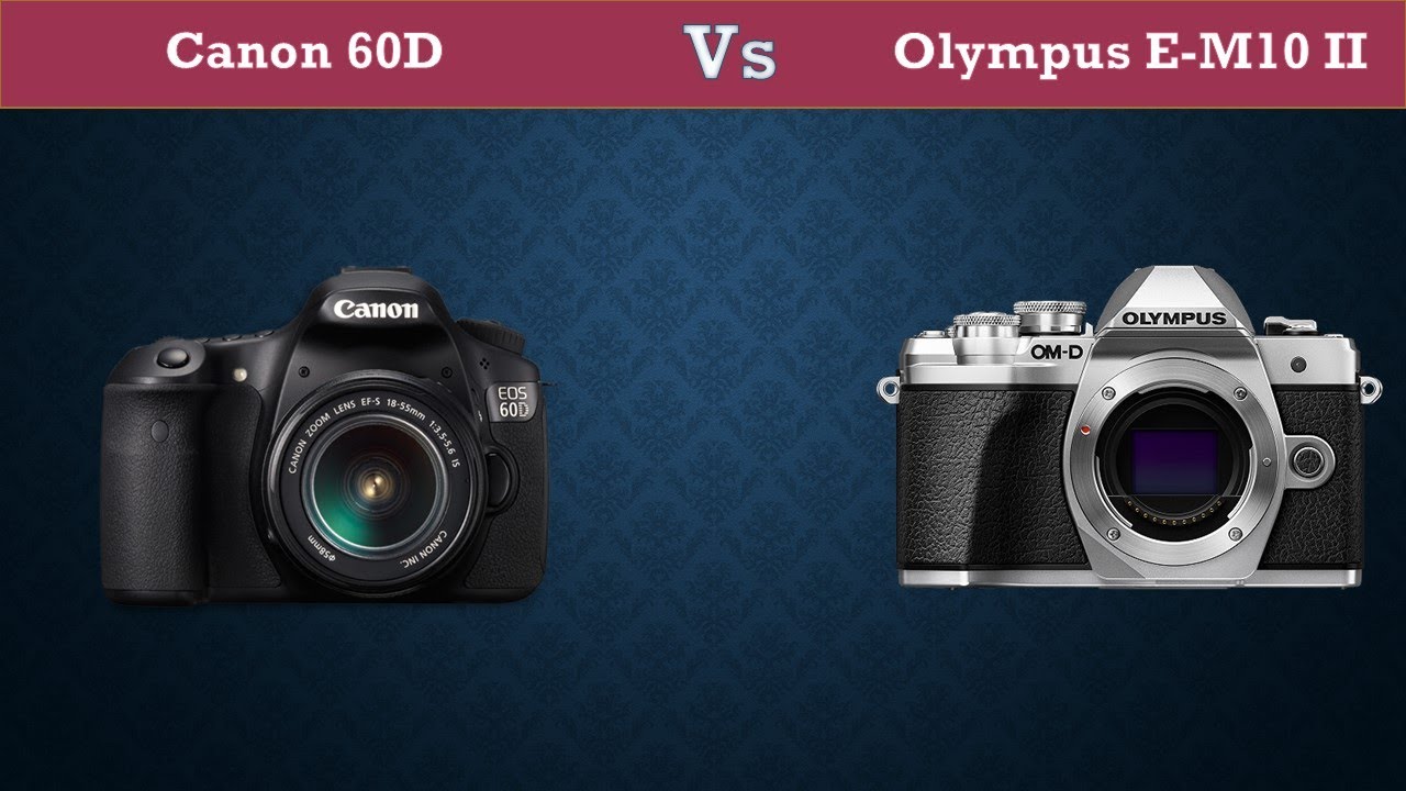 Canon 60D Vs Olympus E M10 II Comparison, Specifications, Price YouTube
