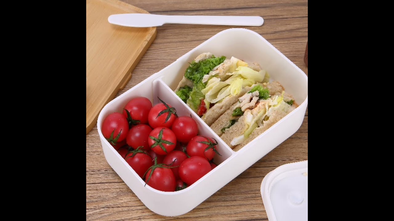 Eco-Friendly Lunch box