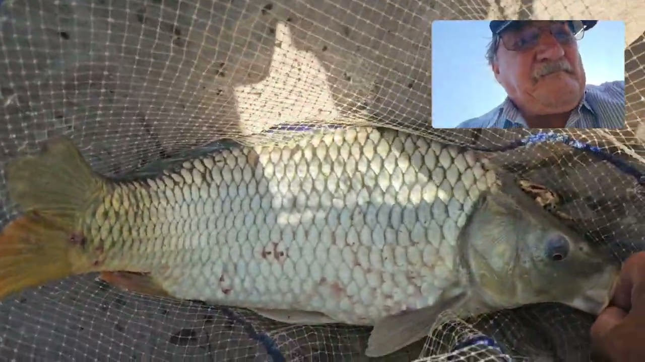 Pescuit și relaxare-Buciuman, Sânnicolau Mare