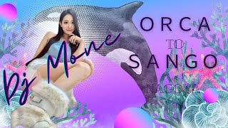 愛知県のクラブ・ディスコ・DJバー!好みの音楽を楽しめるお店