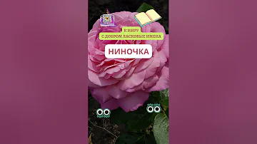 НИНА  ЛАСКОВЫЕ ИМЕНА К МИРУ С ДОБРОМ