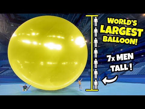 वीडियो: सबसे बड़ा डॉग लिटर का विश्व रिकॉर्ड क्या है?