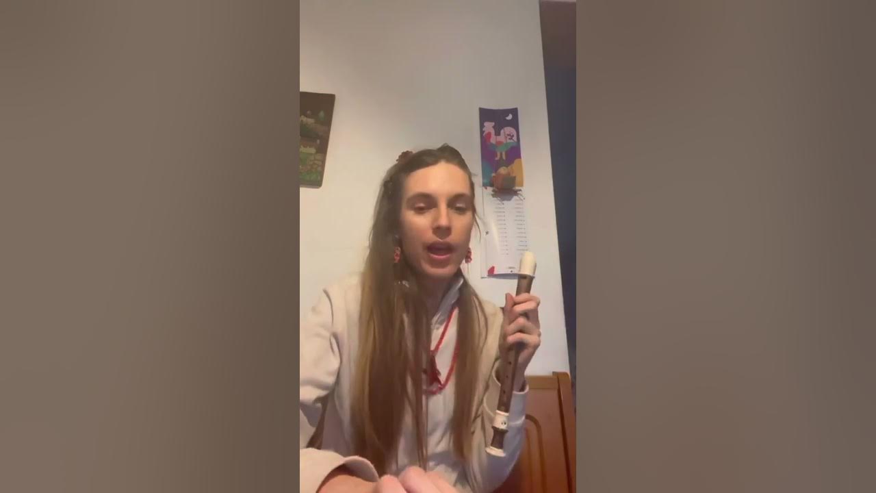 Tin whistle vs. Recorder similarities & differences YouTube